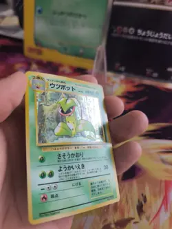 Pokemon Karte Card Victreebel Sarzenia Jungle Dschungel Holo Wotc japanese NM - Image 4