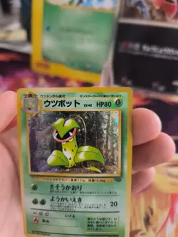 Pokemon Karte Card Victreebel Sarzenia Jungle Dschungel Holo Wotc japanese NM - Image 5