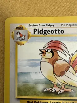 Pokemon TCG Pidgeotto Base Set 22/102 Unlimited Rare Card MP - Image 2