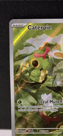 Caterpie - 172/165 - Scarlet & Violet 151 - Illustration Rare - NM - Pokemon TCG - Image 2