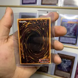 YUGIOH, Blue Eyes White Dragon Sdk, Dark Magician, Winged Dragon Of Ra AND MORE! - Image 3