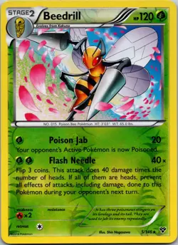 Beedrill 5/146 XY Base Set Reverse Holo LP Pokemon TCG - Image 1