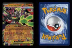 MEGA ZYGARDE EX PROMO HOLO 071 NM POKEMON - Image 3