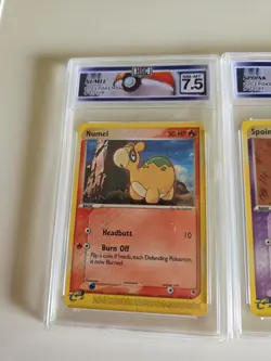 Graded HGC Pokemon Cards Lot Of 3 Year 2003 Wingull, Numel, Spoink - Image 2