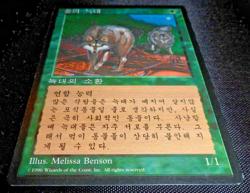 MTG Timber Wolves (Korean FBB) 4th Edition (NM/LP) Magic the Gathering - Image 3