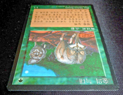 MTG Timber Wolves (Korean FBB) 4th Edition (NM/LP) Magic the Gathering - Image 5
