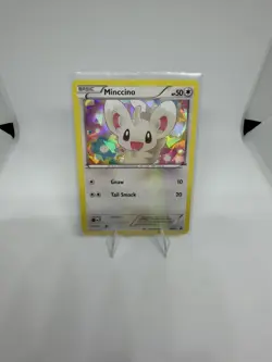Minccino - Promo Black and White Promos BW13 NM - Image 1