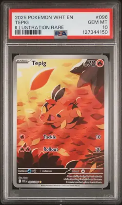 2025 POKEMON WHT EN-WHITE FLARE ILLUSTRATION RARE #096 TEPIG PSA 10 - Image 1