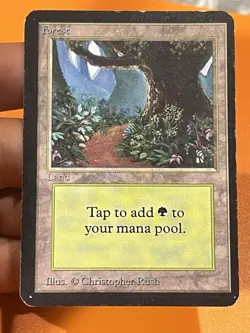 Magic The Gathering Lot - 12 Alpha Cards - Image 3