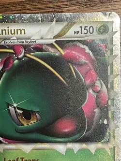 Meganium (Prime) HGSS08 HGSS Holographic Pokemon Card - Image 3