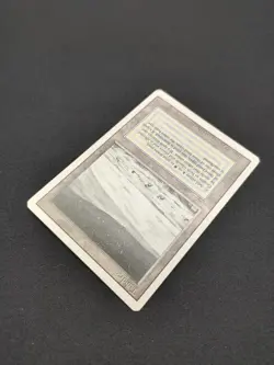 Mtg Tundra Revised Edition LP - Image 4