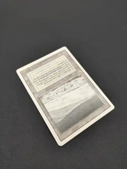 Mtg Tundra Revised Edition LP - Image 5