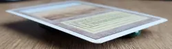 Savannah Dual Land - MTG Revised Reserved List (Rare) - Image 5
