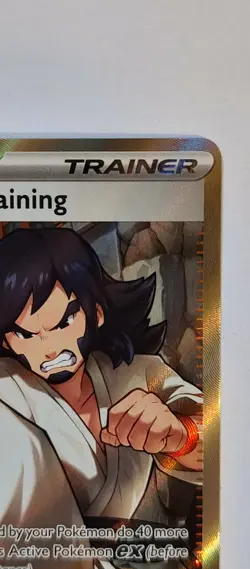 Black Belt’s Training 255/217 - Full Art Trainer Ascended Heroes- Pokemon TCG NM - Image 4