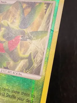 Pokemon TCG - Grovyle 40/106 - Great Encounters (2008) Reverse Holo - HP - Image 3