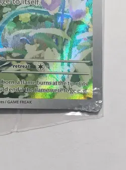 🔥 CRIMP ERROR- SEALED Charmander SVP-044 ETB Promo Pokemon TCG - Image 2