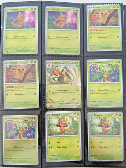 Pokemon Chaos Rising Complete Master Base Set including all reverse holo and EX - Image 1