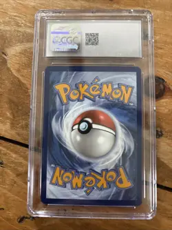 CGC 9 Mint Feraligatr Black Star Promo Illustration Contest 2024 SVP 213 Pokemon - Image 2