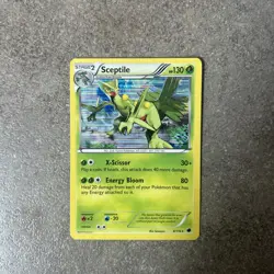 Sceptile Holo B&W Plasma Freeze 8/116 Pokemon Card TCG LP-NM - Image 1