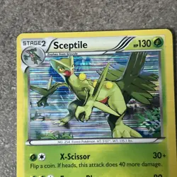 Sceptile Holo B&W Plasma Freeze 8/116 Pokemon Card TCG LP-NM - Image 2