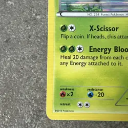 Sceptile Holo B&W Plasma Freeze 8/116 Pokemon Card TCG LP-NM - Image 5