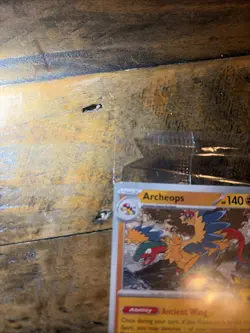 2026 Pokemon Fossil Musuem Archeops Promo Sealed - Image 2