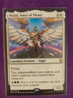 Shalai Voice of Plenty NM~ DOM Magic the Gathering MTG - Image 1