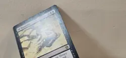 2008 MTG/Magic Ad Nauseam English - Shards of Alara (ALA) - See Pictures - Image 3