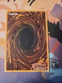 Queen's Knight [Collector's Rare] KICO-EN026 YuGiOh Kings Court NM - Image 2