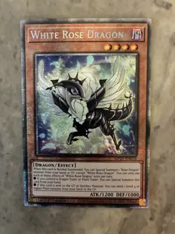 Yugioh! TCG - White Rose Dragon - Starlight Rare - 2025 Mega-Pack - MP25-EN038 - Image 1