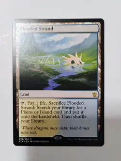 Flooded Strand LP/NM MTG Khans of Tarkir (KTK) (233) Authentic - Image 1
