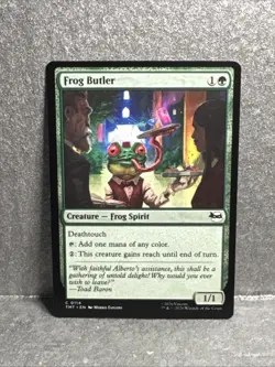 Frog Butler Teenage Mutant Ninja Turtles Regular - Image 1