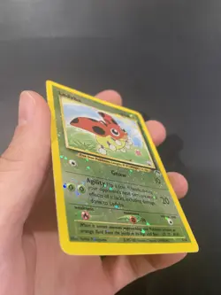 Pokemon Southern Islands Ledyba 07/18 Reverse Holo Promo 2001 English *Vintage* - Image 2