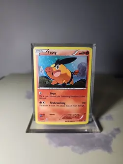 Tepig Holo Rare BW Black Star Promos 2011 Pokemon TCG English #BW07 - Image 1