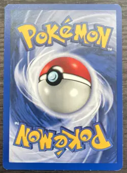 Shadowless Beedrill 017/102 Pokemon TCG WOTC Base Set MINT - Image 2