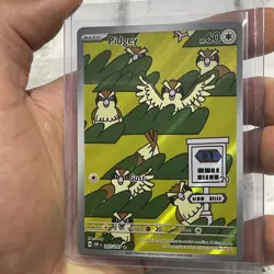 Pokemon 2023 TCG Pidgey 207/197 Illustration Rare Holo Obsidian Flames NM/MT - Image 2