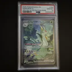 2025 Pokemon Serperior ex 164/086 Sv: Black Bolt Illustration Rare Holo … - Image 1