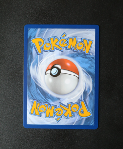 Pokemon Card - Herdier 075/086 White Flare English - Master Ball Reverse - NM ⭐ - Image 4
