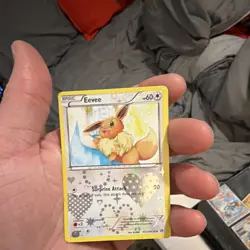 The Pokemon Company Eevee Radiant Collection Holo RC14/RC25 Basic 60 HP 2013 - Image 1