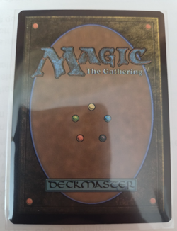 MTG, Mistrise Village-Tarkir: Dragonstorm Regular NM - Image 2