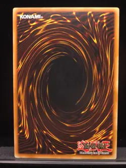 Yugioh Return from the Different Dimension EP1-EN008 Common LP - Image 2