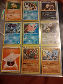 Pokemon TCG Mixed Card Lot Of 9, Groudon Holo, Suicune Skuntank, Numel, Sawk - Image 1