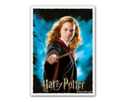 Dragon Shields Harry Potter: Hermione Granger Matte Art Standard Sleeves - Image 1