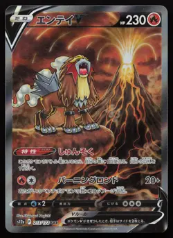 Entei V 213/172 Special Art Rare VSTAR Universe Pokemon Japanese NM - Image 1