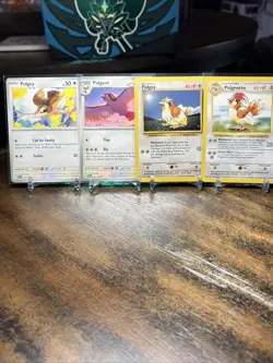 Pokemon Card Lot - Pidgey/Pidgeotto - Base Set/151 - Lp - Image 1