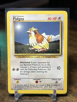 Pokemon Card Lot - Pidgey/Pidgeotto - Base Set/151 - Lp - Image 4