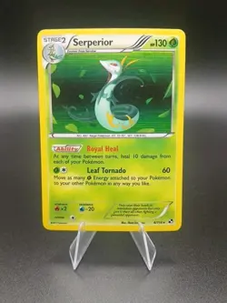 Serperior 6/114 Rare Holo Pokemon Card - Black & White Base set - 2011 - LP - Image 1