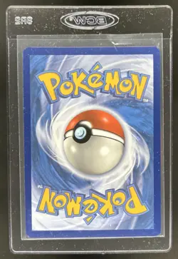 2022 Pokemon SWSH Brilliant Stars Eevee Trainer Gallery Holo #TG11/TG30 - Image 2