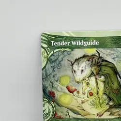 Tender Wildguide 0325 Bloomburrow Borderless Showcase Possum Druid MTG Rare - Image 4