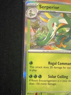 Perfect Order Prerelease Staff Promo 4 cards Sealed Pokemon Cards - Image 3